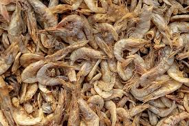 Dry Prawns Export Andhra Pradesh