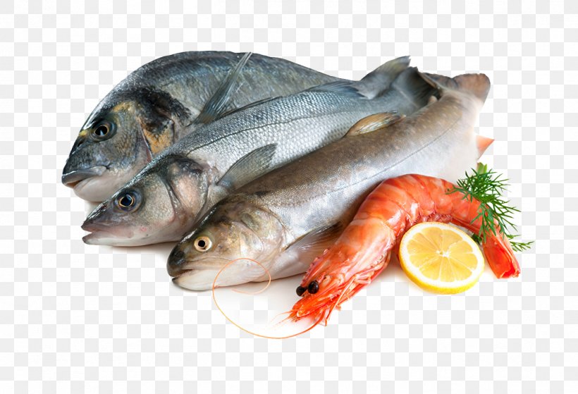 Fresh Fish Export Andhra Pradesh | Arjilli Sea Foods
