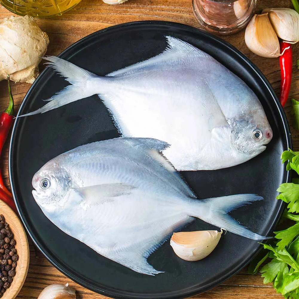 Pomfret Fish Supplier Andhra Pradesh