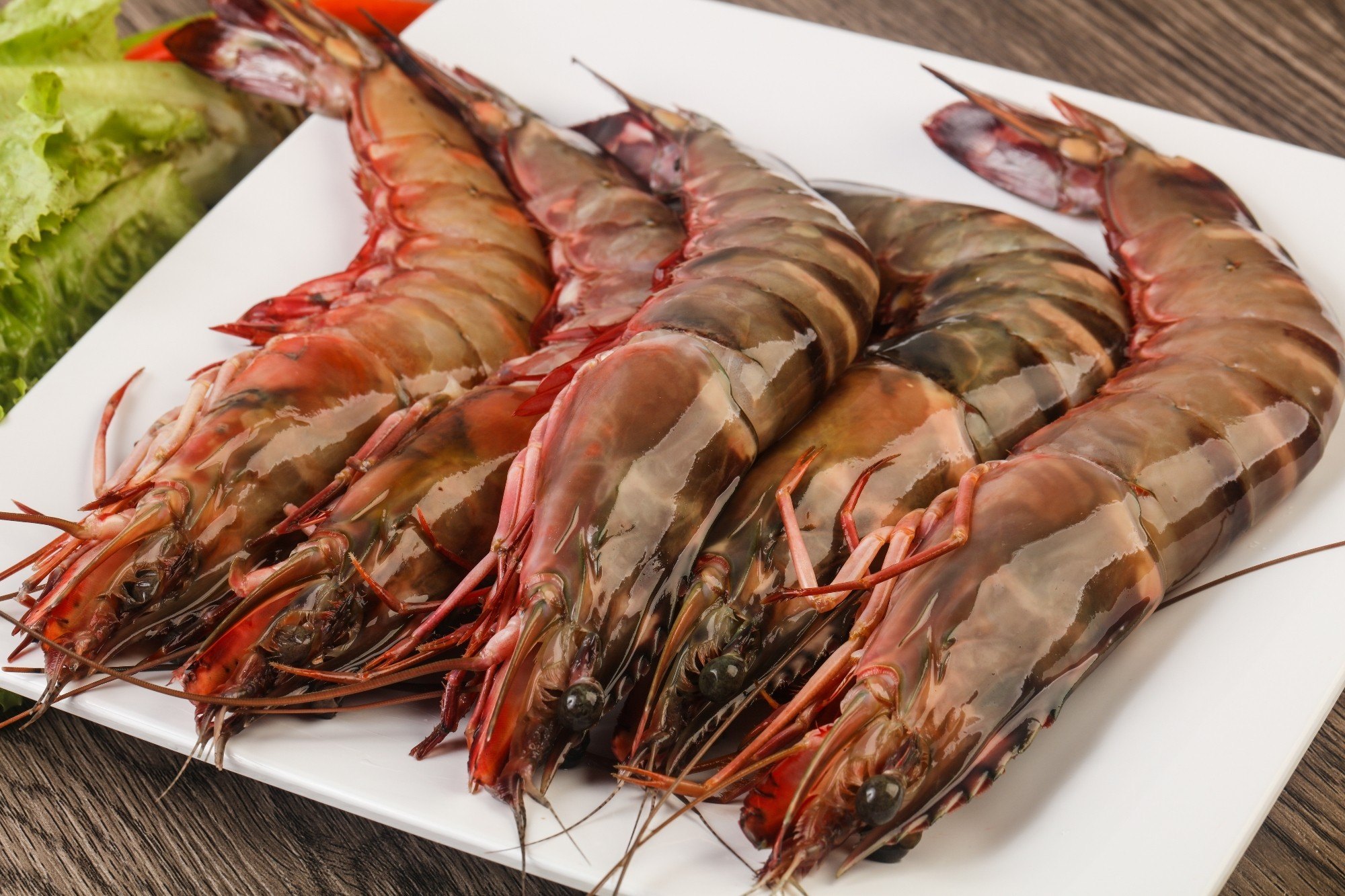 Bulk Tiger Prawns Supply Guntur