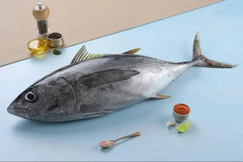 Tuna Fish Export Andhra Pradesh